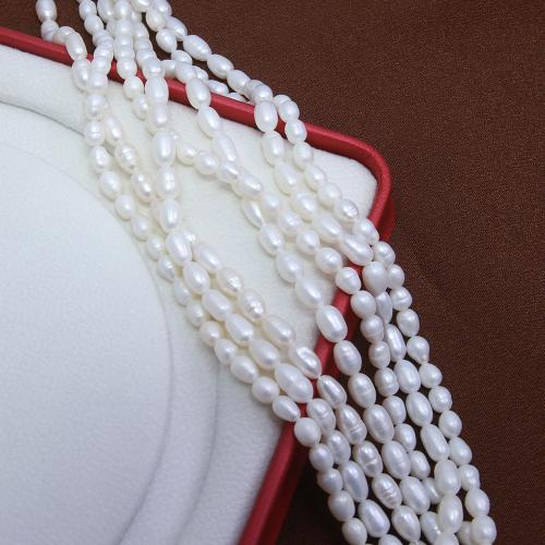 Cultured Rice Freshwater Pearl Beads, DIY, white, about:5-5.5mm, Sold Per Approx 38 cm Strand