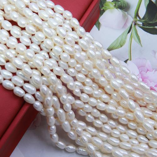 Cultured Rice Freshwater Pearl Beads, DIY, white, about:5-5.5mm, Sold Per Approx 38 cm Strand