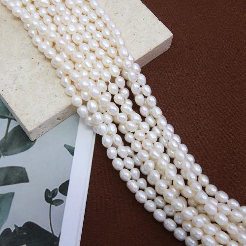 Cultured Potato Freshwater Pearl Beads, DIY, white, about:  5-5.5mm, Sold Per Approx 38 cm Strand