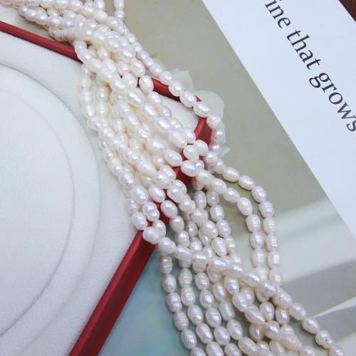 Cultured Rice Freshwater Pearl Beads, DIY, white, about:5-5.5mm, Sold Per Approx 38 cm Strand