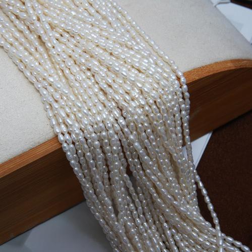 Cultured Rice Freshwater Pearl Beads, DIY, white, about:2-2.5mm, Sold Per Approx 38 cm Strand