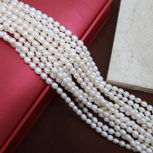 Cultured Potato Freshwater Pearl Beads, DIY, white, about: 5-5.5mm, Sold Per Approx 38 cm Strand