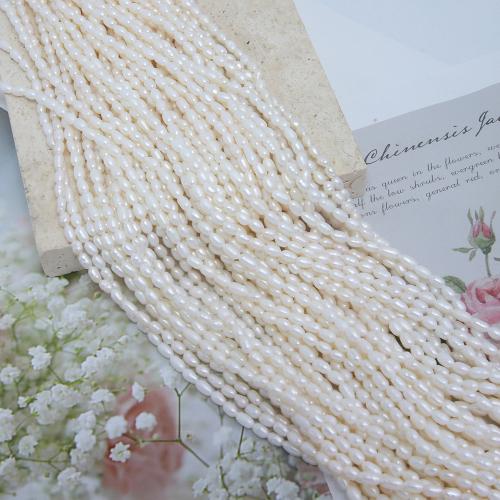 Cultured Rice Freshwater Pearl Beads, DIY, more colors for choice, about:2.8-3.2mm, Sold Per Approx 38 cm Strand