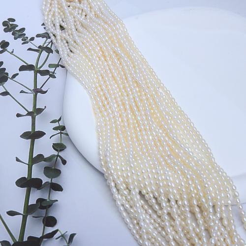 Cultured Rice Freshwater Pearl Beads, DIY, white, about:2.8-3.2mm, Sold Per Approx 38 cm Strand