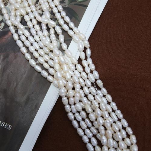 Cultured Rice Freshwater Pearl Beads, DIY, white, about: 5-6mm, Sold Per Approx 38 cm Strand