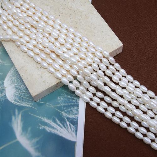 Cultured Rice Freshwater Pearl Beads, DIY, white, about:5-5.5mm, Sold Per Approx 38 cm Strand