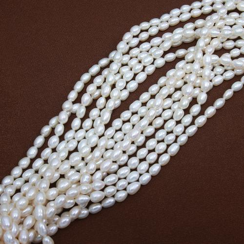 Cultured Rice Freshwater Pearl Beads, DIY, white, about: 5-6mm, Sold Per Approx 38 cm Strand