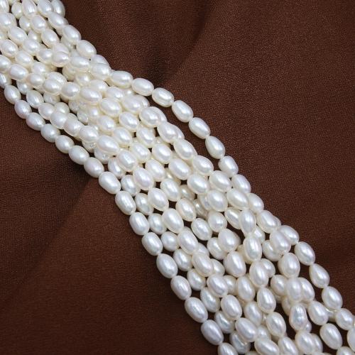 Cultured Rice Freshwater Pearl Beads, DIY, white, about:5-5.5mm, Sold Per Approx 38 cm Strand