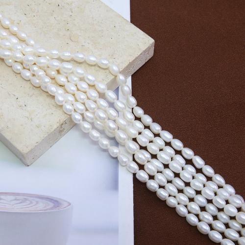 Cultured Rice Freshwater Pearl Beads, DIY, white, about:5-5.5mm, Sold Per Approx 38 cm Strand