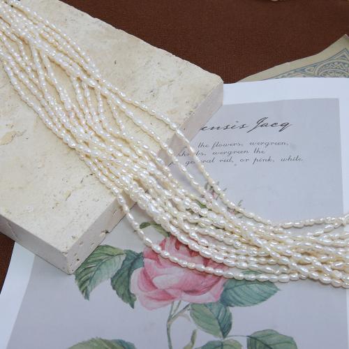 Cultured Rice Freshwater Pearl Beads, DIY, white, about:2-3mm, Sold Per Approx 38 cm Strand