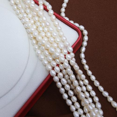 Cultured Rice Freshwater Pearl Beads, DIY, white, about: 5-6mm, Sold Per Approx 38 cm Strand