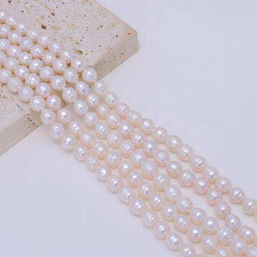 Perlas Arroz Freshwater, Perlas cultivadas de agua dulce, Bricolaje, Blanco, 2mm, Vendido para aproximado 38 cm Sarta