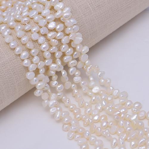 Cultured Potato Freshwater Pearl Beads, DIY, white, about:2.8-3.2mm, Sold Per Approx 35 cm Strand