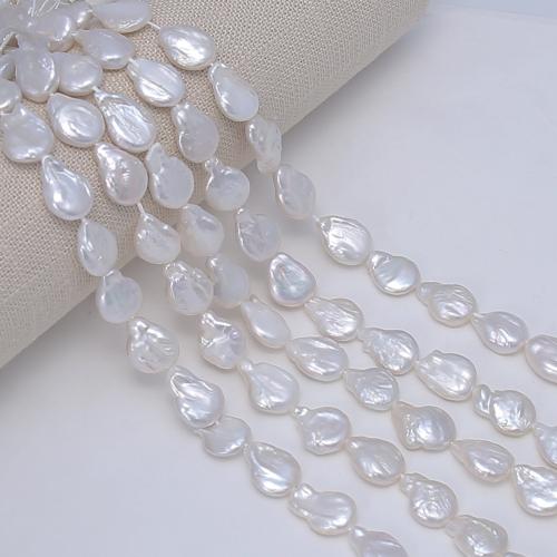 Cultured Coin Freshwater Pearl Beads, DIY, white, 12mm, Sold Per Approx 38 cm Strand