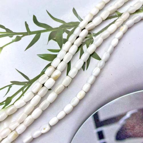 Perles naturelles de coquillage d'eau douce , coquille d'eau douce, DIY & normes différentes pour le choix, plus de couleurs à choisir, Vendu par brin