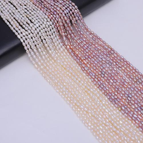 Perlas Arroz Freshwater, Perlas cultivadas de agua dulce, Bricolaje, más colores para la opción, about:2-3mm, Vendido para aproximado 38 cm Sarta