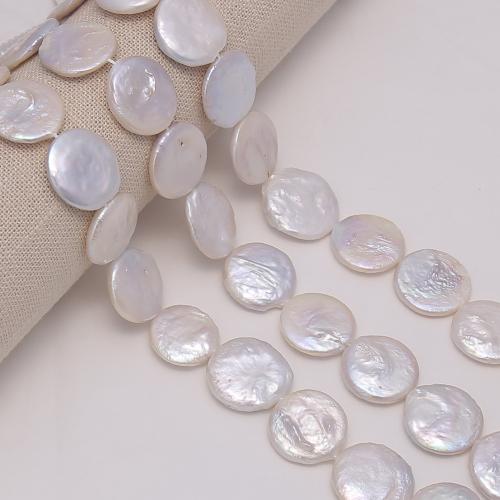 Cultured Coin Freshwater Pearl Beads, DIY, white, 20mm, Sold Per 39 cm Strand