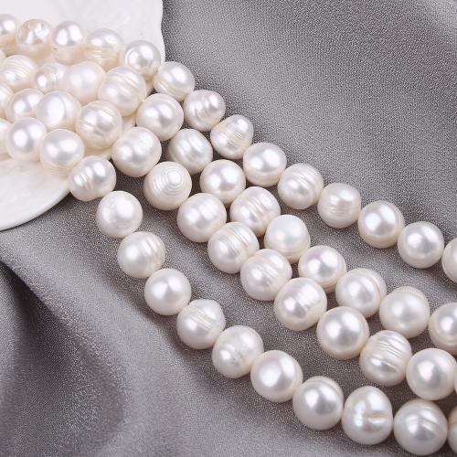 Natural Freshwater Pearl Loose Beads, Slightly Round, DIY, white, about:11-12mm, Sold Per Approx 38 cm Strand