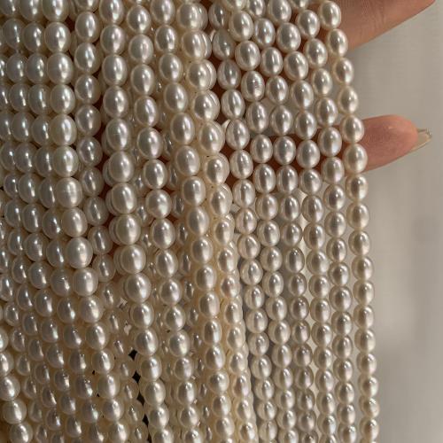 Cultured Rice Freshwater Pearl Beads, DIY, white, about:5.5-6mm, Sold Per Approx 38 cm Strand