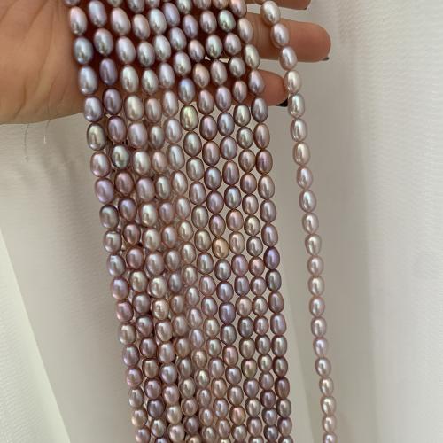 Cultured Rice Freshwater Pearl Beads, DIY, purple, about:5-6mm, Sold Per Approx 38 cm Strand