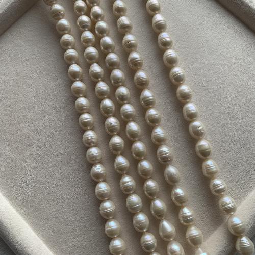 Cultured Rice Freshwater Pearl Beads, DIY, more colors for choice, about:10-11mm, Sold Per Approx 40 cm Strand