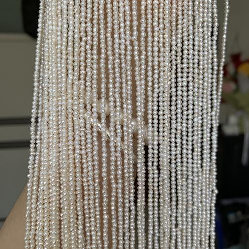 Cultured Potato Freshwater Pearl Beads, DIY, white, about:1.8-2mm, Sold Per Approx 38 cm Strand