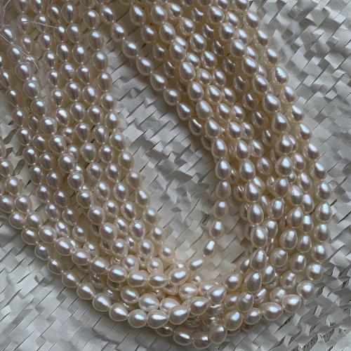 Natural Freshwater Pearl Loose Beads, Teardrop, DIY, more colors for choice, about:6-6.5mm, Sold Per Approx 40 cm Strand