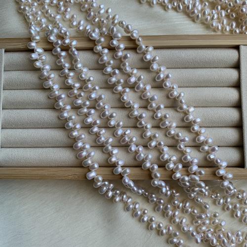 Cultured Potato Freshwater Pearl Beads, DIY, white, about:5-6mm, Sold Per Approx 38 cm Strand