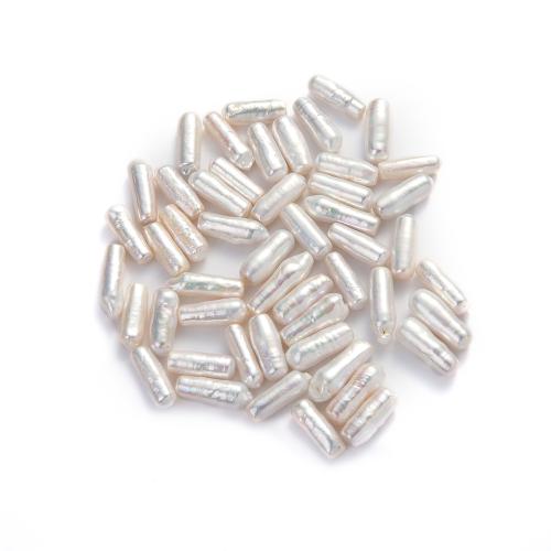 Naturales agua dulce perlas sueltas, Perlas cultivadas de agua dulce, Bambú, Bricolaje, Blanco, 5x16mm, Vendido por UD