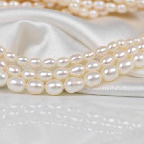 Cultured Rice Freshwater Pearl Beads, DIY & different size for choice, white, Sold Per Approx 38 cm Strand