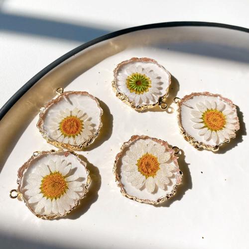 Resin Pendant, with Brass, Daisy, epoxy gel, DIY, 32mm, Approx 100PCs/Bag, Sold By Bag