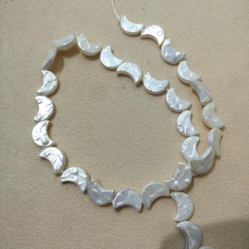 Abalorios de Nácar de Mar de Sur, Shell Pearl, Luna, Bricolaje, 9x13mm, aproximado 20PCs/Sarta, Vendido por Sarta