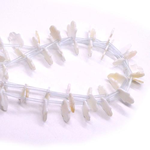 Natural Freshwater Shell Beads, Hand, DIY & different size for choice, white, 20PCs/Strand, Sold By Strand