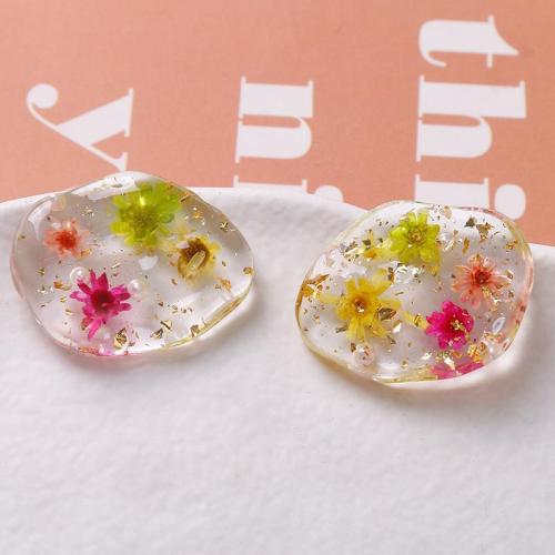 Hair Accessories DIY Findings, Resin, with Dried Flower, epoxy gel, 31x25mm, Sold By PC