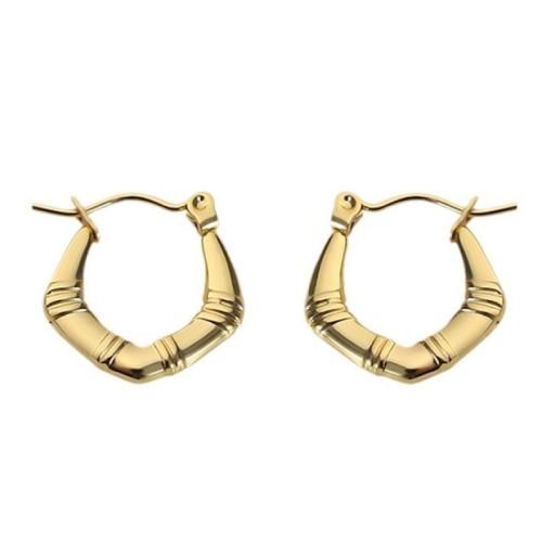 Titanium Steel  Earring, gold color plated, fashion jewelry & different designs for choice, golden, Sold By PC