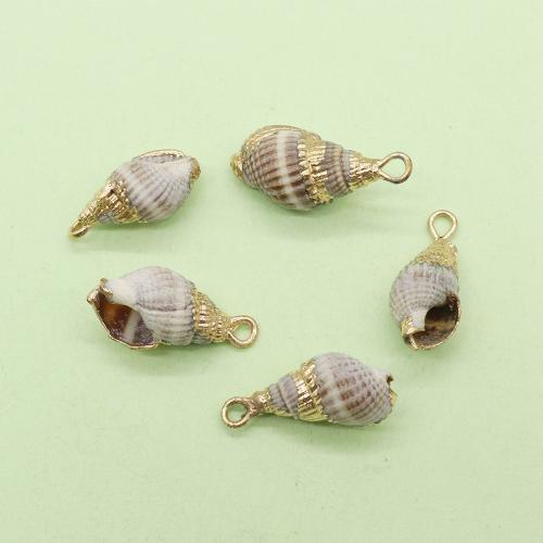 Natural Trumpet Shell Pendants, with Brass, Conch, gold color plated, DIY, 7x17mm, Sold By PC