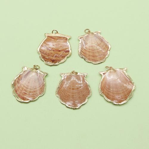 Shell Pendants, with Brass, gold color plated, DIY, about:30x35mm, Sold By PC