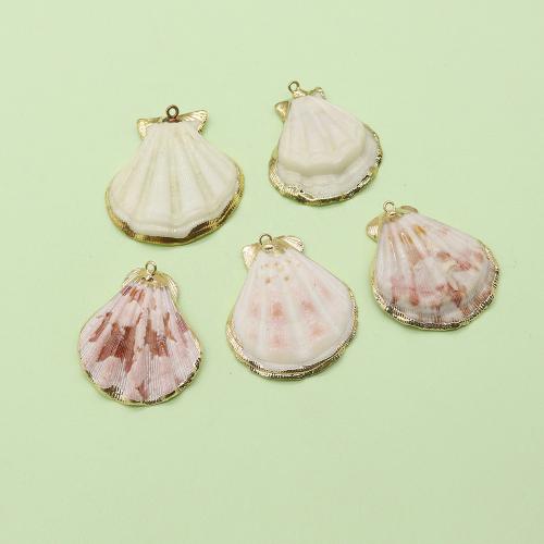 Shell Pendants, with Brass, gold color plated, DIY, about:30x40mm, Sold By PC