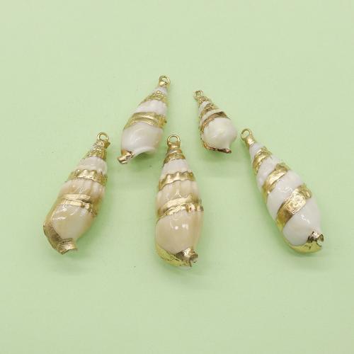 Natural Trumpet Shell Pendants, with Brass, Conch, gold color plated, DIY, about:45x15mm, Sold By PC