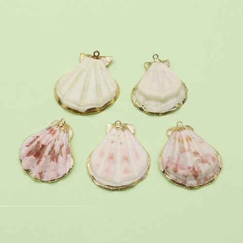 Shell Pendants, with Brass, gold color plated, DIY, about:40x40mm, Sold By PC