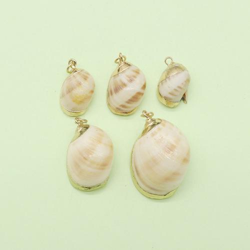 Natural Trumpet Shell Pendants, with Brass, Conch, gold color plated, DIY, about:20x30mm, Sold By PC