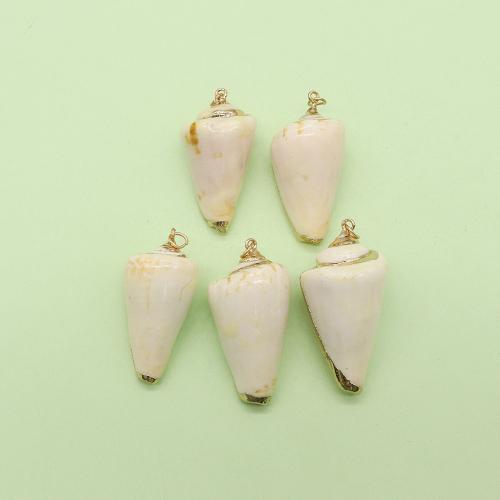 Natural Trumpet Shell Pendants, with Brass, Conch, gold color plated, DIY, about:20x40mm, Sold By PC