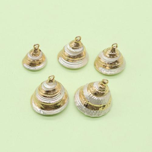 Natural Trumpet Shell Pendants, with Brass, Conch, gold color plated, DIY, about:25x30mm, Sold By PC