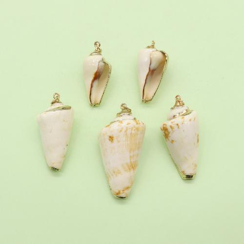 Natural Trumpet Shell Pendants, with Brass, Conch, gold color plated, DIY, about:15x30mm, Sold By PC