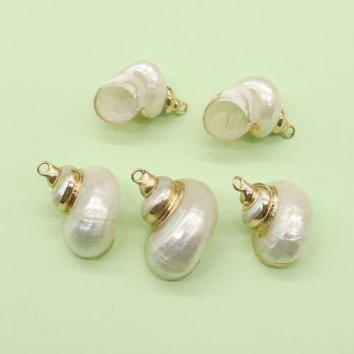 Natural Trumpet Shell Pendants, with Brass, Conch, gold color plated, DIY, about:20x30mm, Sold By PC