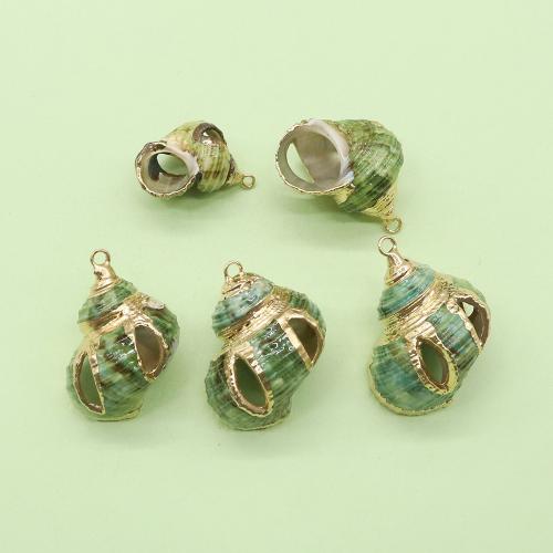 Natural Trumpet Shell Pendants, with Brass, Conch, gold color plated, DIY & hollow, about:25x35mm, Sold By PC