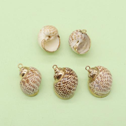 Natural Trumpet Shell Pendants, with Brass, Conch, gold color plated, DIY & hollow, about:15x20mm, Sold By PC