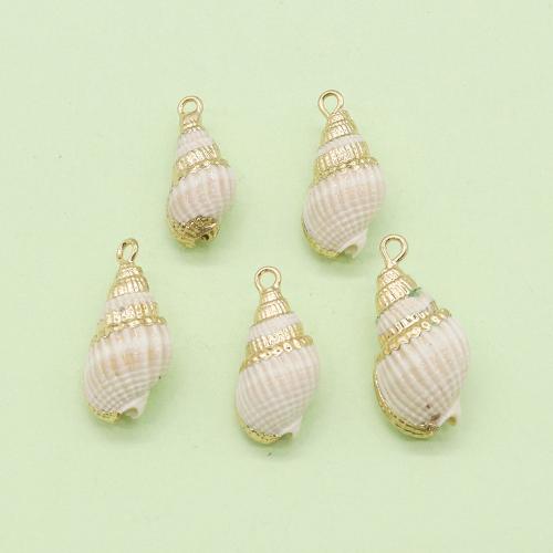 Natürliche Seemuschel Anhänger, Trompete Muschel, mit Messing, Strandschnecke, goldfarben plattiert, DIY, about:13x25x10mm, verkauft von PC