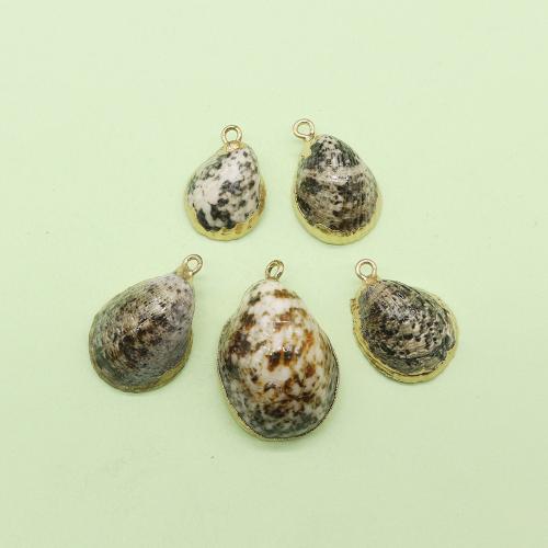 Shell Pendants, with Brass, gold color plated, DIY, about:20x30x15mm, Sold By PC