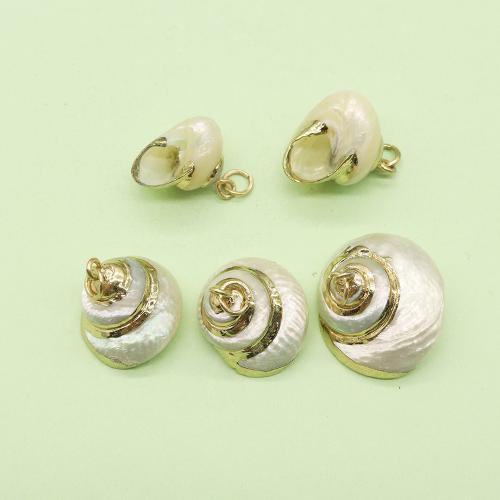 Natural Trumpet Shell Pendants, with Brass, Conch, gold color plated, DIY, about:20x24mm, Sold By PC